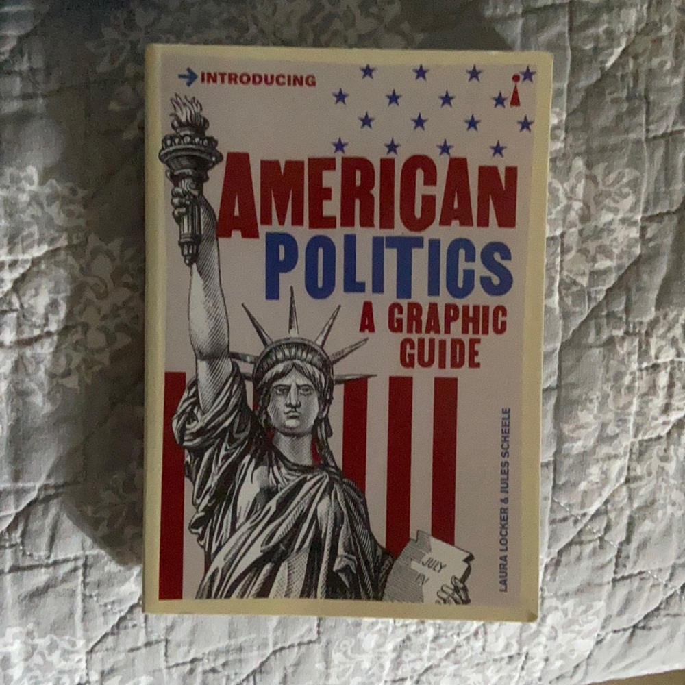 American Politics- A graphic guide 2020 updated